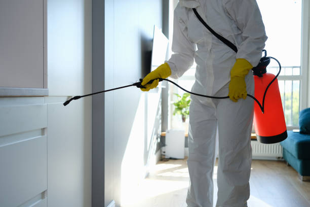 Certified Mold Removal in West Sayville, NY